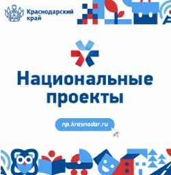 Региональные проекты.