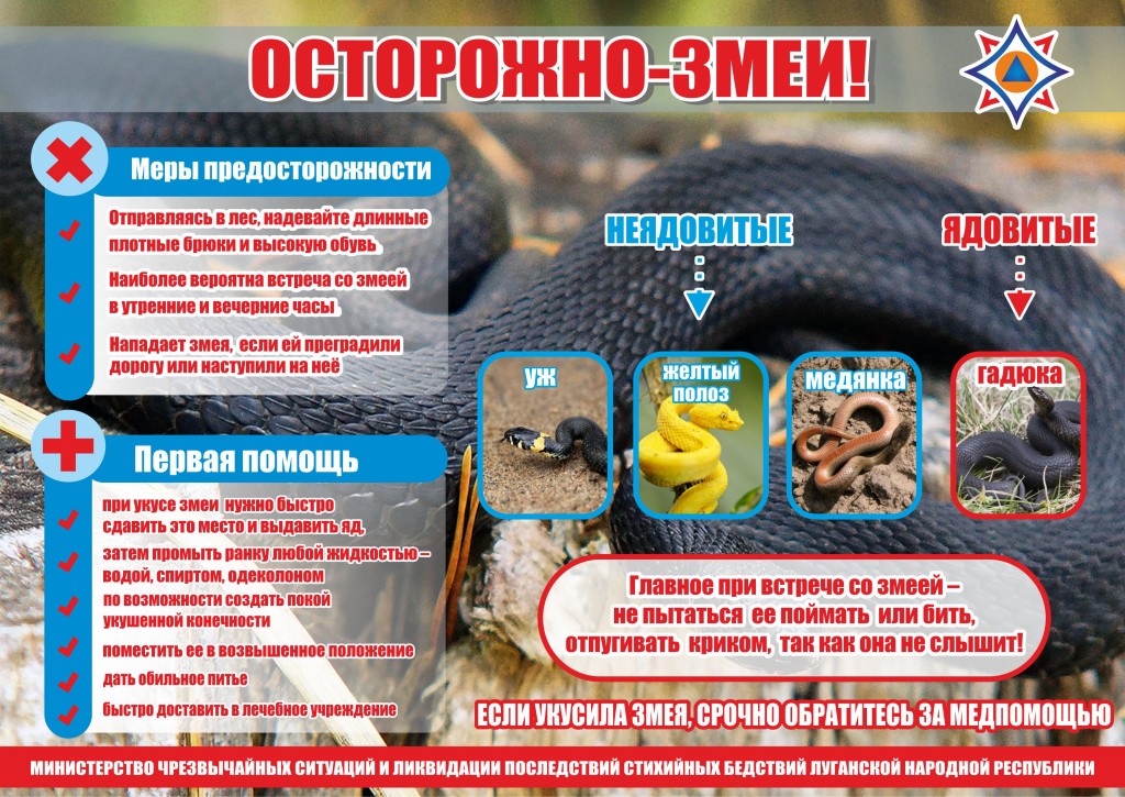 памятка змеи.